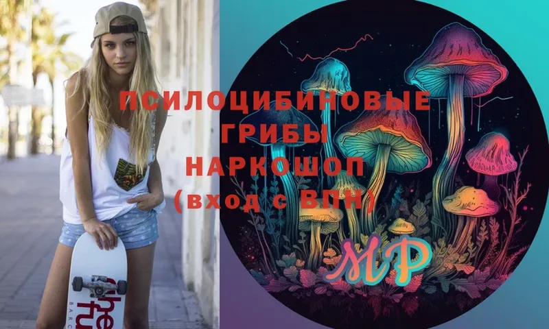 купить  цена  Бавлы  Галлюциногенные грибы Psilocybe 